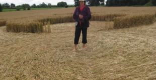 manon in cropcircle